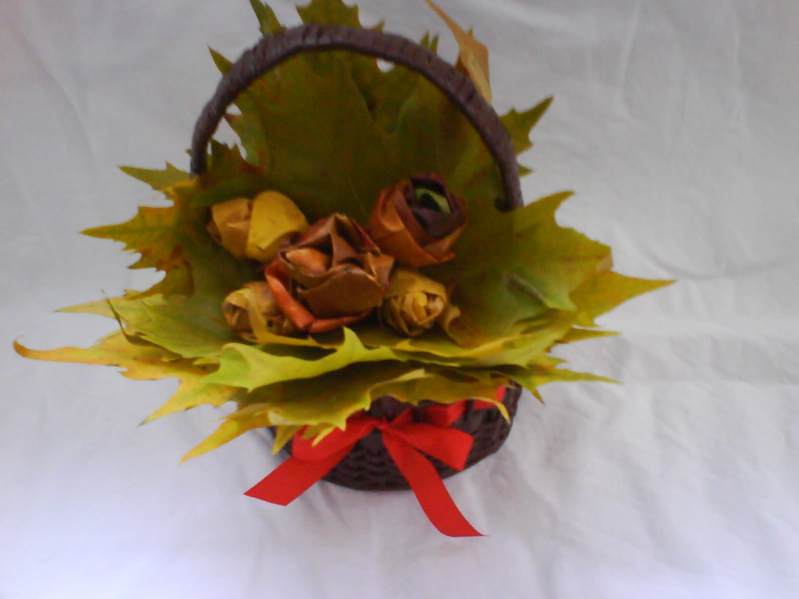 DSC00362.JPG