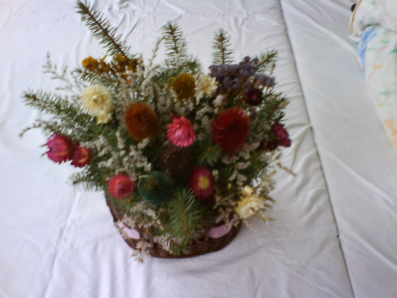 DSC00374.JPG