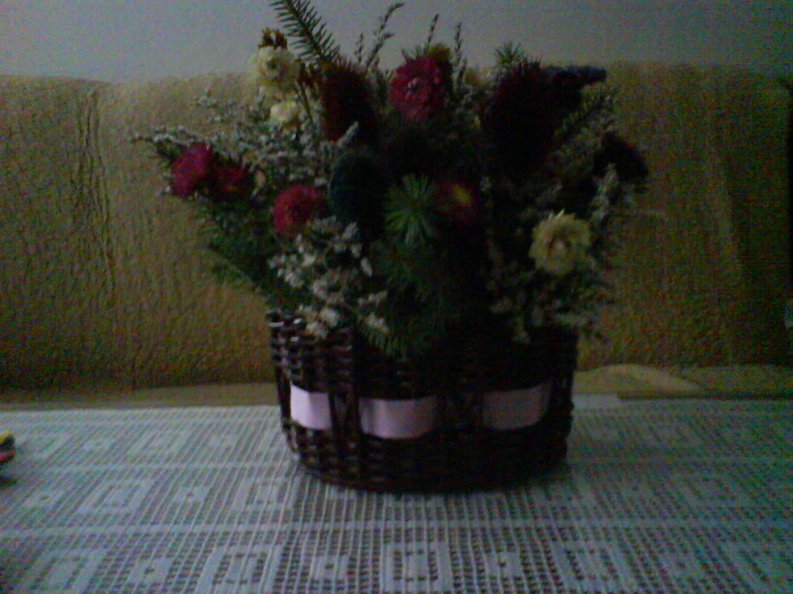 DSC00375.JPG